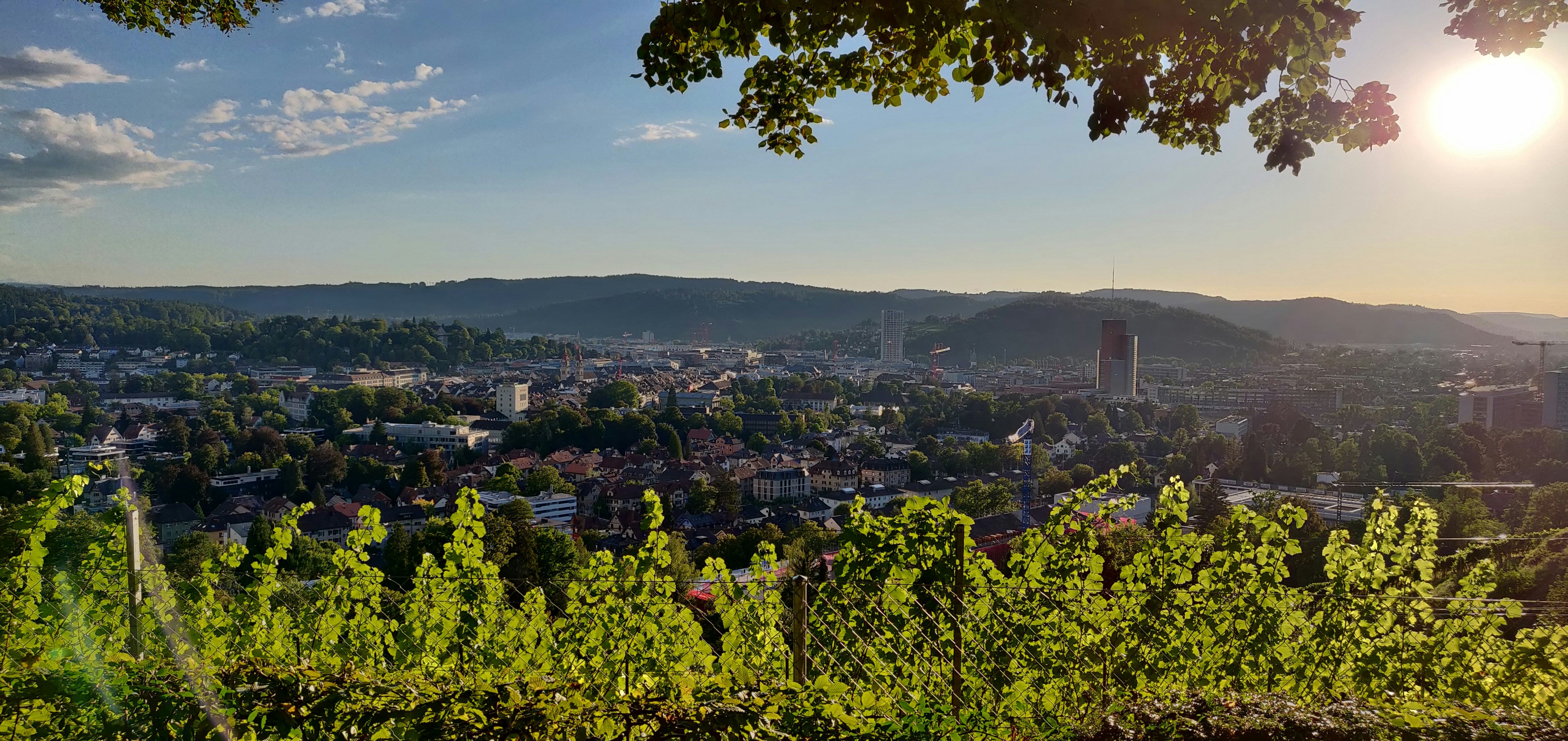seo-agentur-winterthur